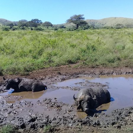Hluhluwe Gate Safari Camp Hotel Eksteriør billede