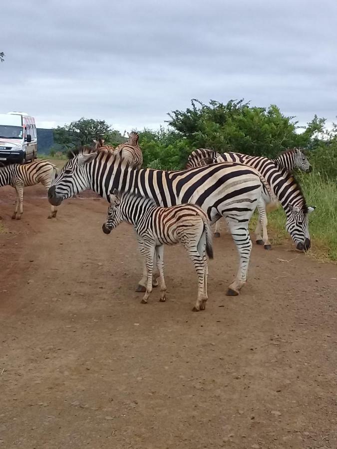 Hluhluwe Gate Safari Camp Hotel Eksteriør billede