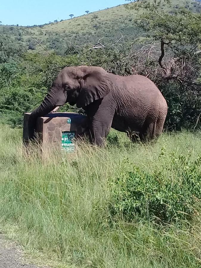 Hluhluwe Gate Safari Camp Hotel Eksteriør billede